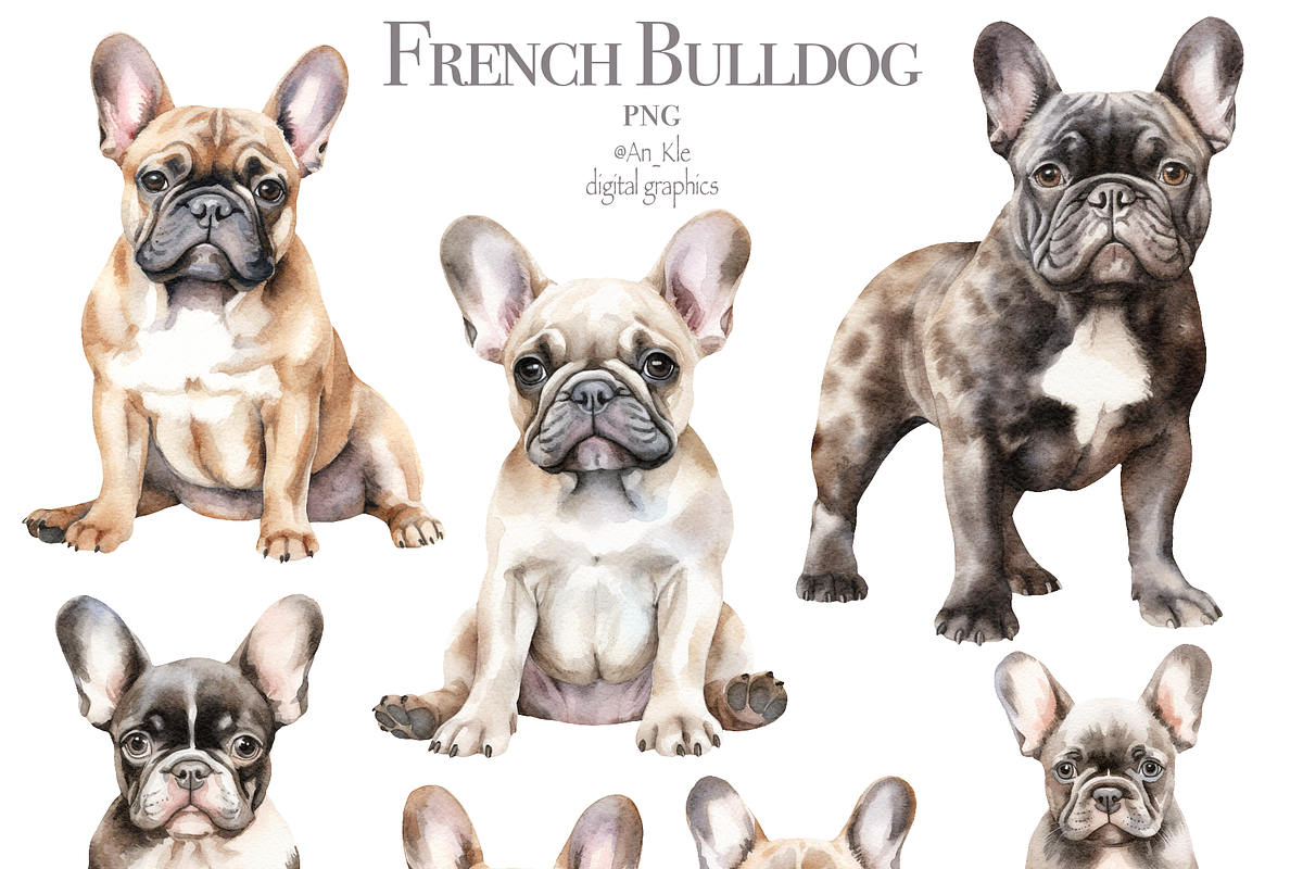 French Bulldog, an Animal Illustration by TheCuteShop (Photo 2 of 3)