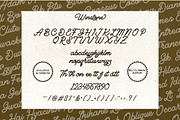 Winstone - Elegant Script Font, a Script Font by dealitastudio (Thumbnail 7 of 9)
