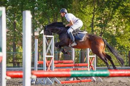 Young sportsman riding horse bounding over obstacle on showjumping competition, a Sports & Recreation Photo by serkum