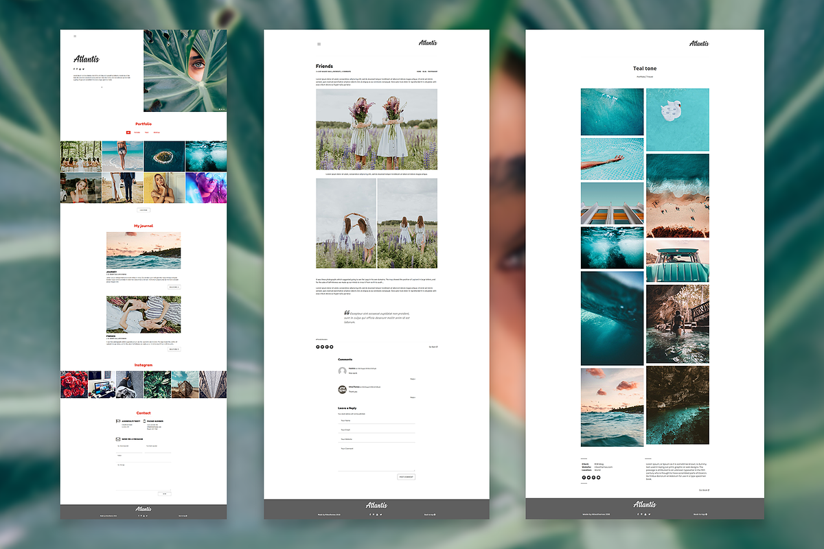 Atlantis - Wordpress Portfolio Theme, a WordPress Template by NiteoThemes (Photo 3 of 5)