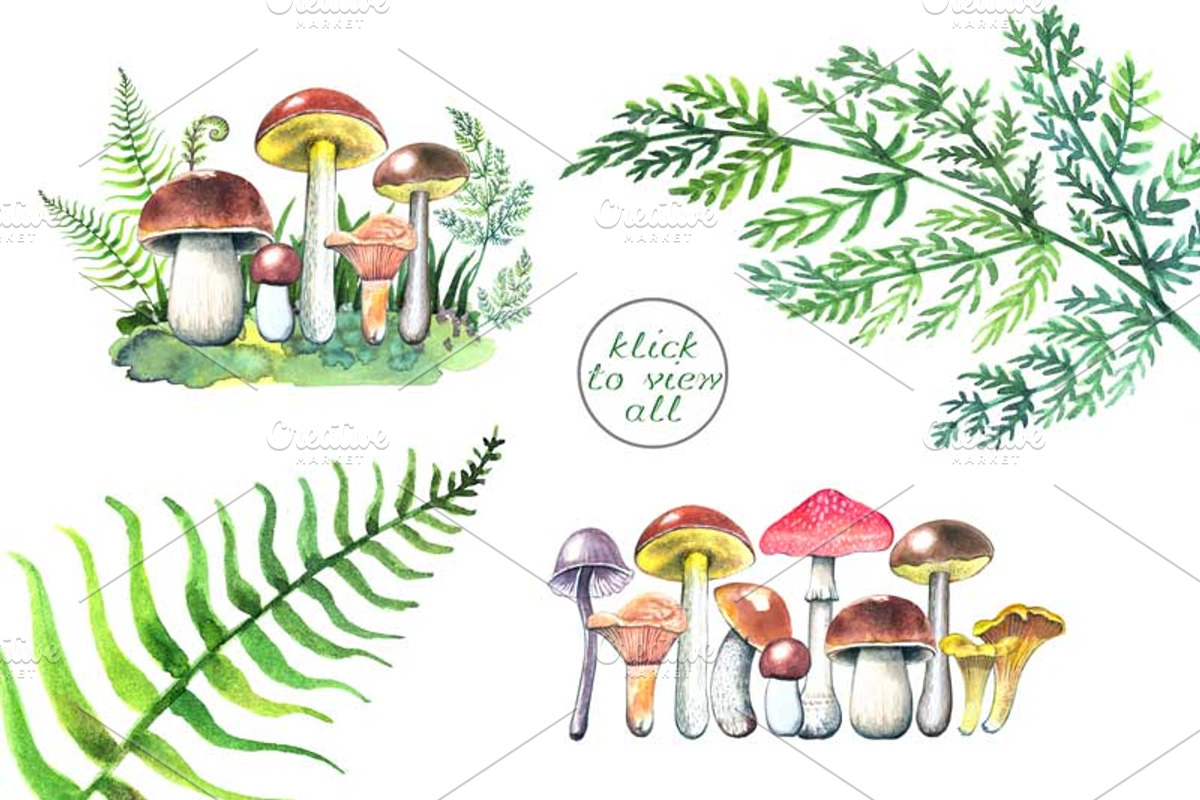 Mushrooms, an Illustration by zurzur (Photo 2 of 4)
