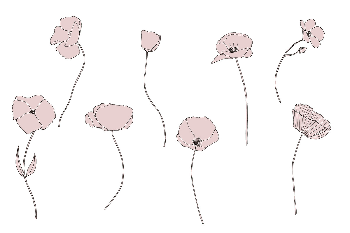 Dainty Floral Patterns Elements, a Pattern Graphic by Youandigraphics (Photo 12 of 17)