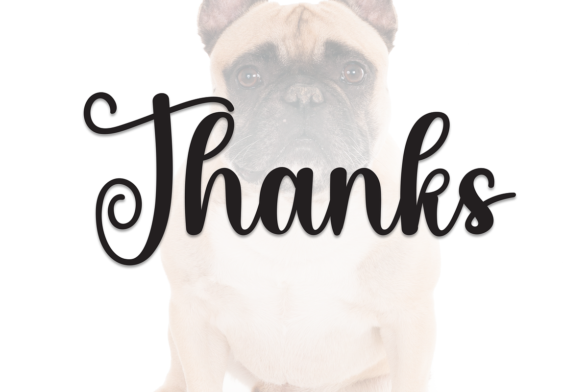 Bulldogs | Script Font, a Handwritten Font by Scratchones (Photo 9 of 9)