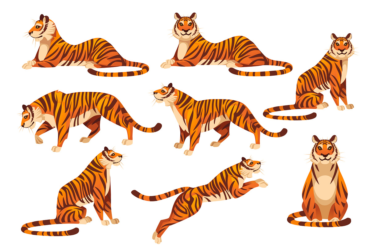 Set of adult big red tiger wildlife, an Animal Illustration by Alfmaler