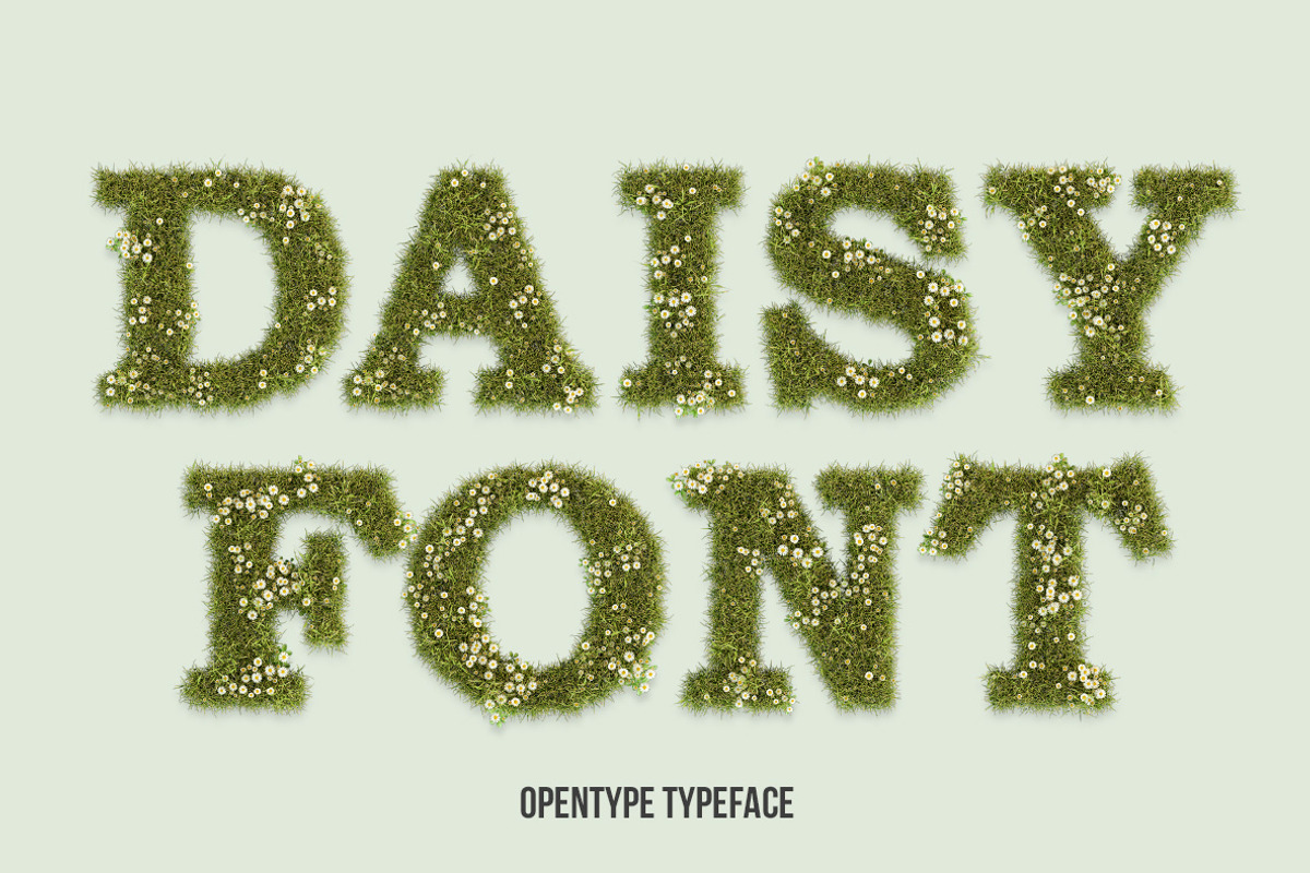 Daisy Font, a Font by Handmadefont (Photo 1 of 9)