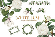 White Floral Clipart, Wreath, Frames, an Illustration by Secret Helper (Thumbnail 1 of 9)