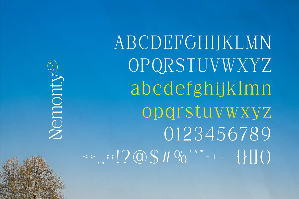 Nemonty - Minimalist Font, a Serif Font by Salamahtype (Photo 8 of 9)