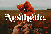 Folker Typeface, a Serif Font by Megatype (Thumbnail 13 of 15)