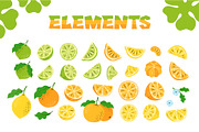 Hand-Drawn Citrus Vector Design Set, a Food Illustration by Lettering_Logo (Thumbnail 6 of 11)