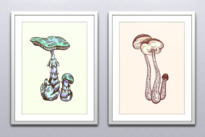 Wild Forest Mushrooms Set