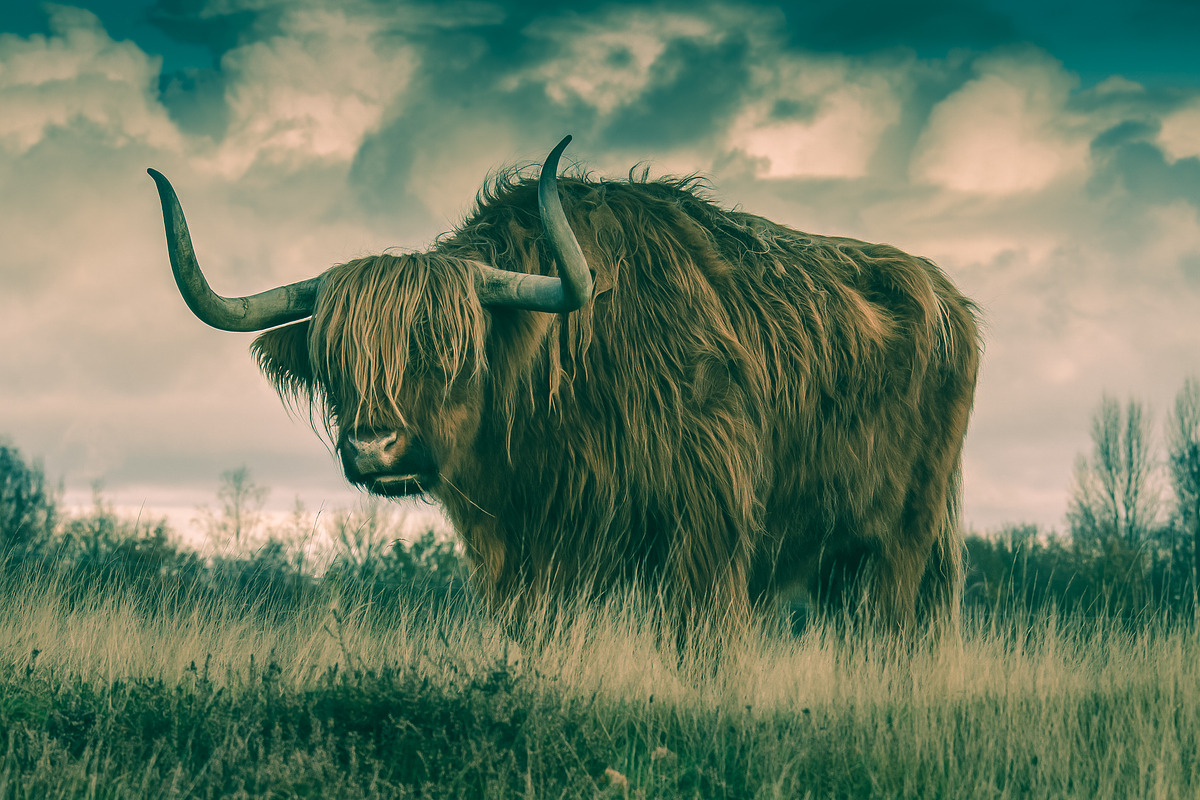 300 Professional Lightroom Presets, an Action Add-On by Madison Colt Studios (Photo 17 of 29)