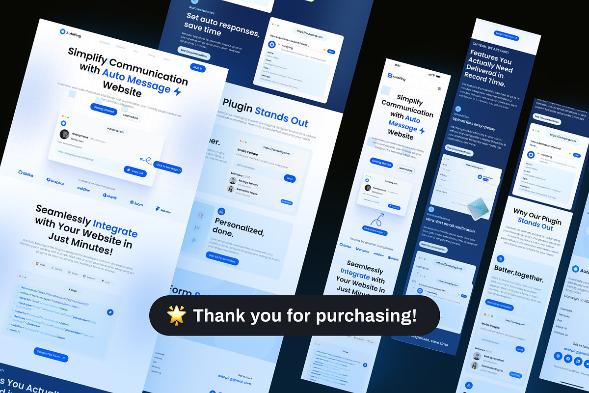 Auto Message Programming Landingpage preview 8