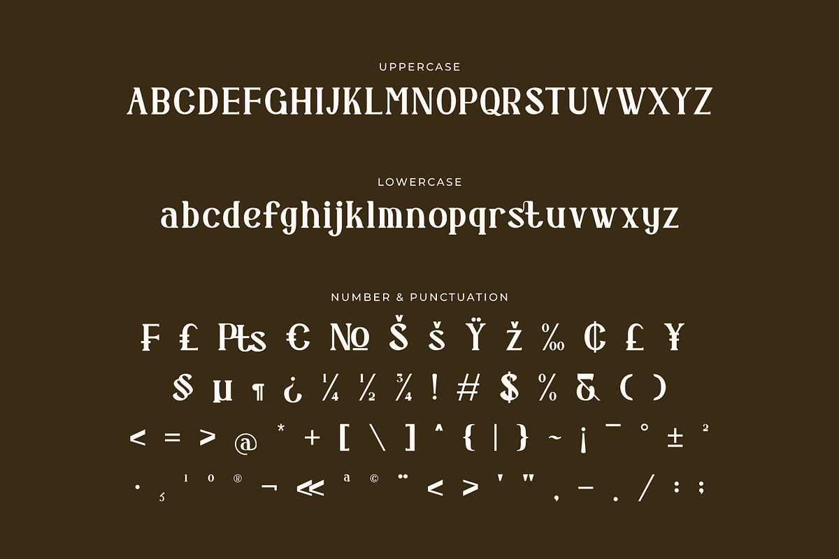 Demerique - Serif Typeface Font, a Serif Font by Rishsketch (Photo 13 of 15)