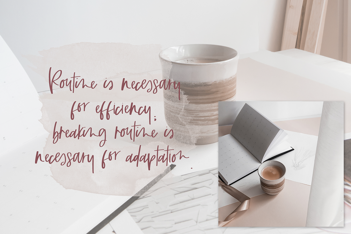 Routinely Script, a Script Font by Beck McCormick (Photo 10 of 10)
