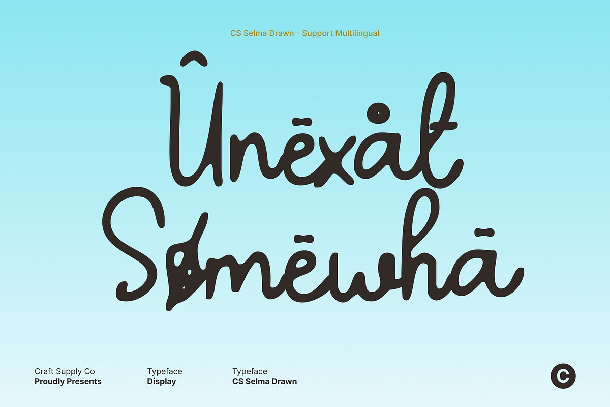 CS Selma Drawn, a Script Font by Craft Supply Co. (Photo 6 of 8)