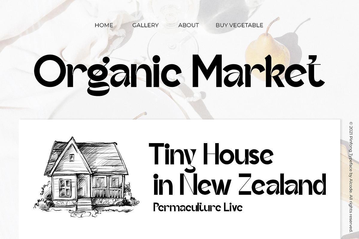 Pinfong Typeface, a Serif Font by Alcode (Photo 15 of 20)