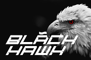 Fast Racer - Racing Display Font, a Font by figuree studio (Thumbnail 9 of 10)