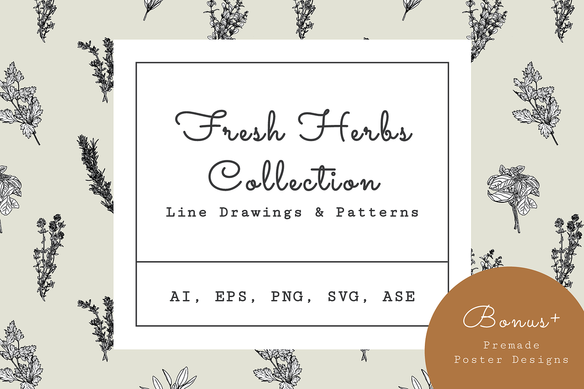 Fresh Herbs Line Drawings & Patterns, an Illustration by kittyShark Creative (Photo 1 of 9)