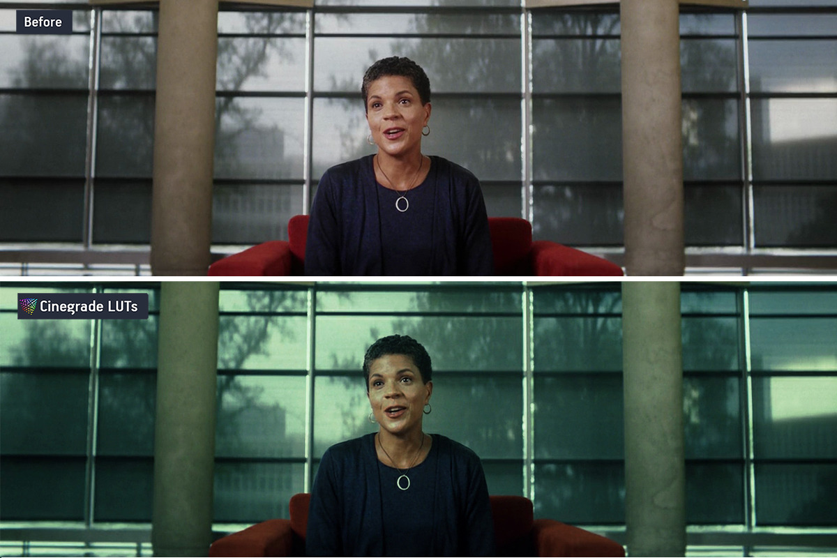 CineGrades LUTs v.2 – Cinematic LUTs, a Preset Add-On by CineMart (Photo 8 of 11)