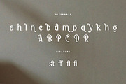 Chaline - Modern Elegant Sans Serif, a Sans Serif Font by Flawless And Co (Thumbnail 10 of 10)