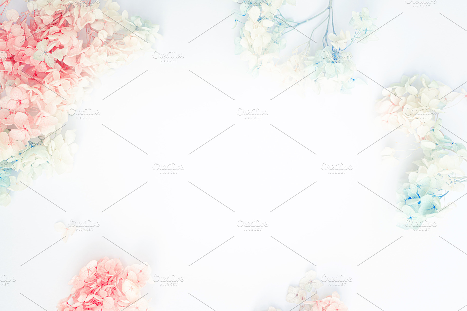 Flowers composition. Pattern made of pastel blue and pink flower, an Abstract Photo by LanaSweet