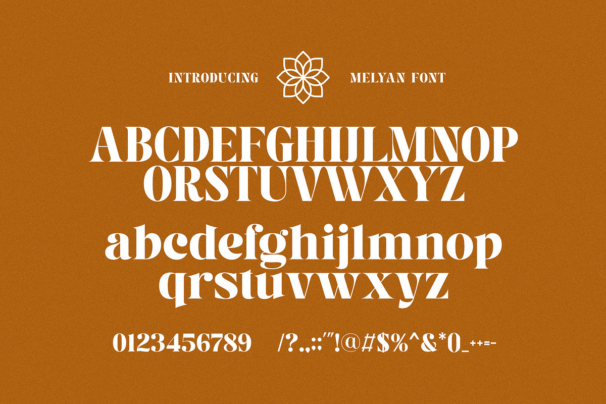 Melyan - Classy & Stylish Serif, a Serif Font by TypeLogue (Photo 5 of 5)