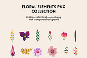 183+ Flowers & Elements Collection, an Illustration by AN Productions (Thumbnail 5 of 17)