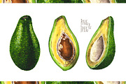 Hand-drawn watercolor Avocado, a Food Illustration by Margo Miller (Thumbnail 2 of 12)