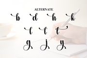 Book Signature | Script Font, a Handwritten Font by Scratchones (Thumbnail 8 of 9)