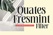 Longsile, a Serif Font by studiobasic (Thumbnail 2 of 9)