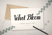 Velvet Bloom – Brush Script Font, a Script Font by vladocar (Thumbnail 1 of 10)