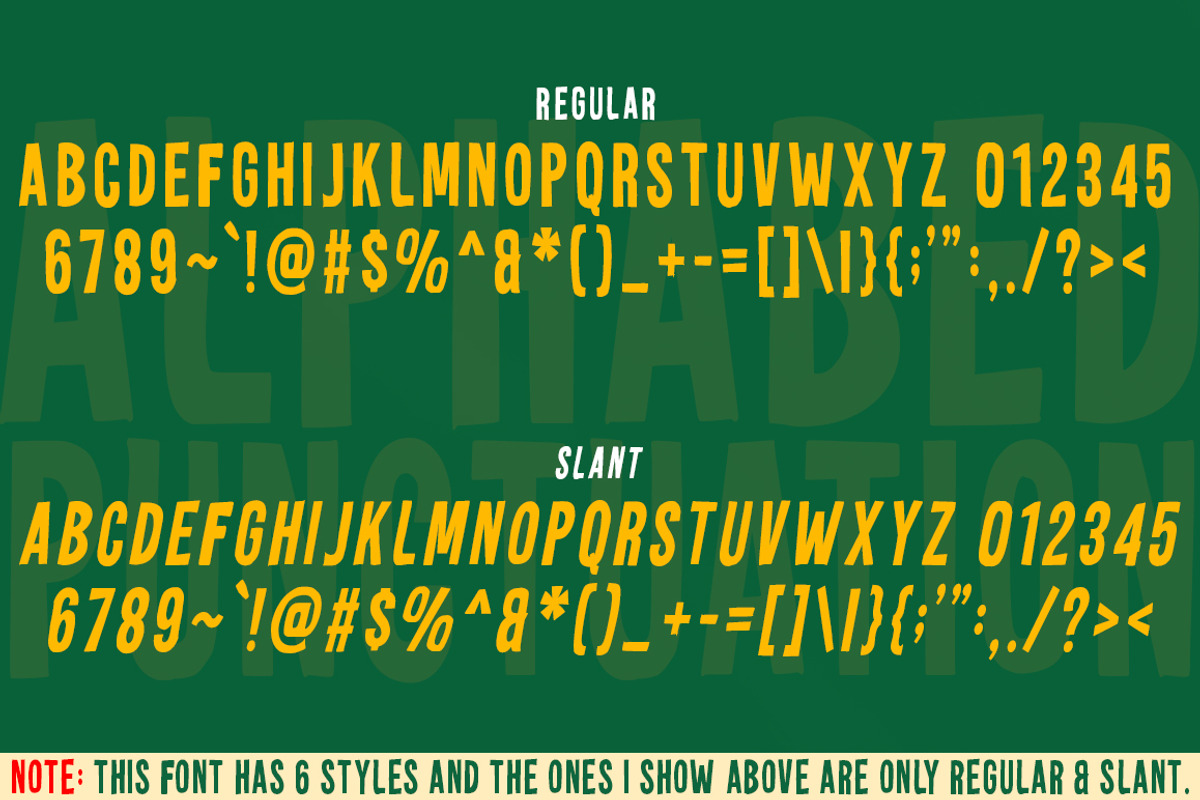 Novagrid, a Font by Struggle Studio (Photo 7 of 8)