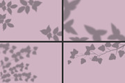 50 plants shadows, a Mockup by AnastasiyaOleynik (Thumbnail 9 of 14)