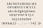 ERITO - Modern Ligature Typface, a Serif Font by AnnofaType (Thumbnail 6 of 8)