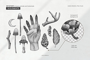Mystery forest animals, leaves, an Animal Illustration by ARTMIRU (Thumbnail 4 of 11)