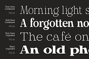 Calgine Serif, a Serif Font by MasaType (Thumbnail 3 of 12)