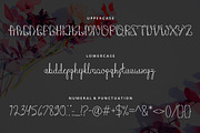 Beauty baey - Monoline Script Font, a Script Font by Akcsel Tara (Thumbnail 9 of 10)