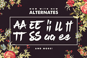 Last Paradise, a Script Font by Sam Parrett (Thumbnail 5 of 5)