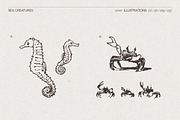 Summer Vacation Beach Collection, a Seasonal Illustration by TheMountBirdStudio (Thumbnail 15 of 21)