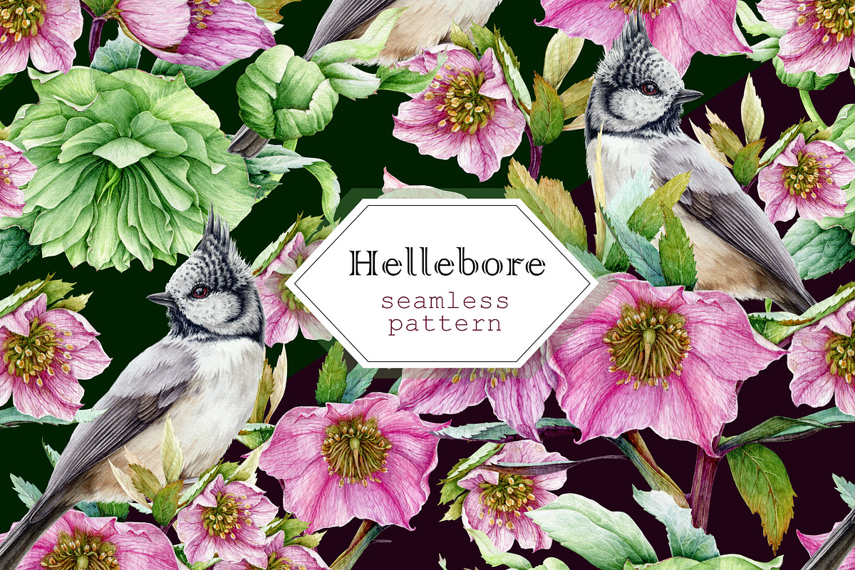 Hellebore Floral Seamless Pattern, a Decorative Illustration by AnitaPol (Photo 8 of 12)