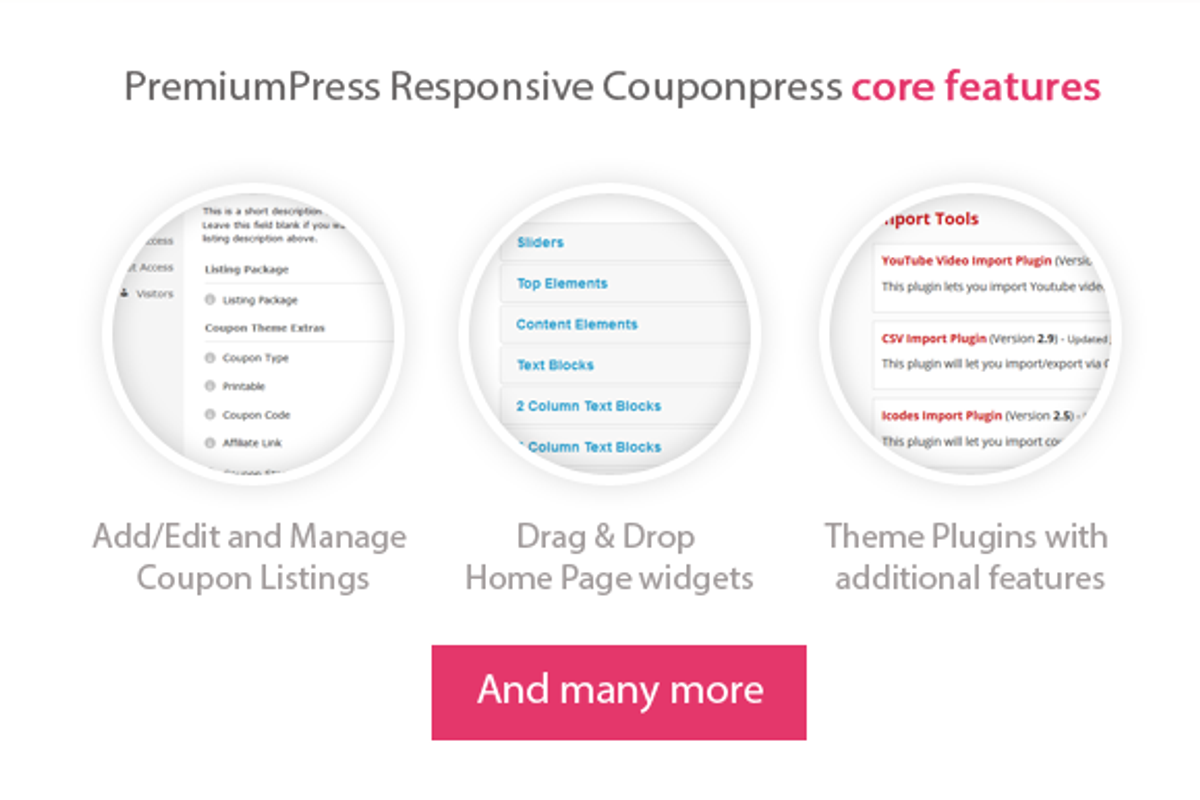 Premiumpress CouponPress Child Theme, a WordPress Template by Theme :: Kiwi (Photo 3 of 5)