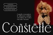 CS Malicious – Elegant Font, a Serif Font by Craft Supply Co. (Thumbnail 7 of 8)