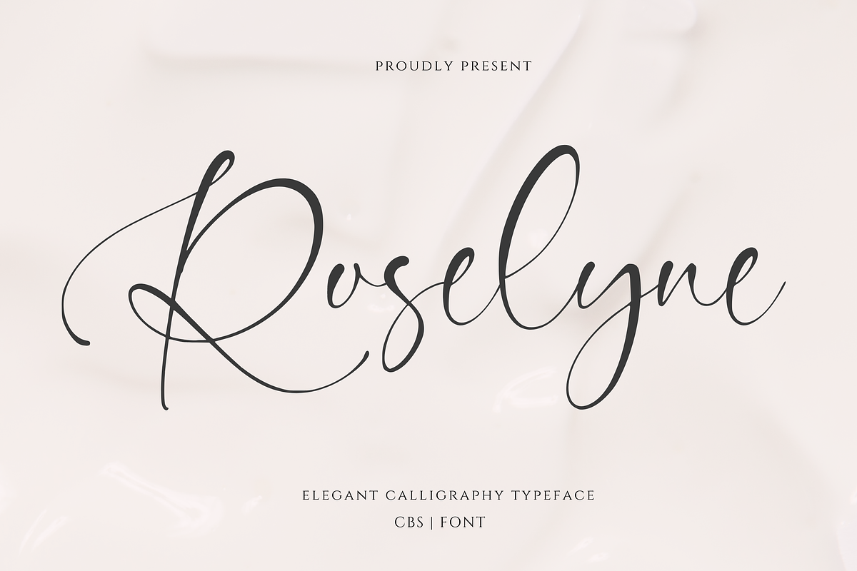 Roselyne Modern Signature Handwrite, a Handwritten Font by CreateBigSupply (Photo 1 of 7)