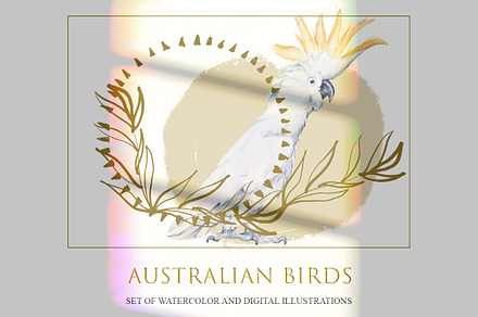 Australian birds