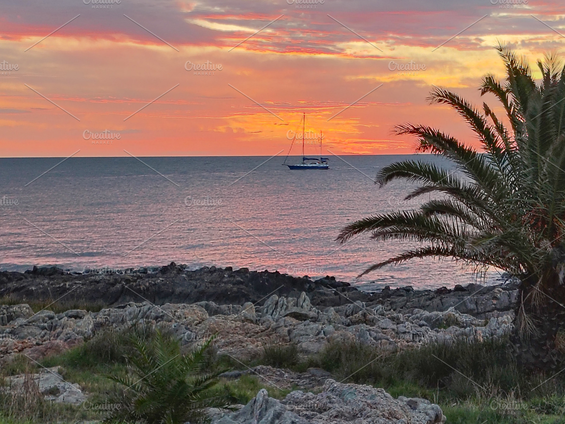 Birds walking along the shore, a Nature Photo by DanFLCreativo