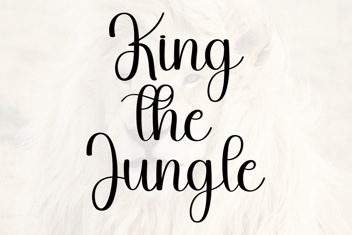Lionary, a Handwritten Font by InermediaSTUDIO (Photo 5 of 8)