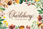 Charlebury Script Font, a Script Font by Salt & Pepper Designs (Thumbnail 1 of 9)