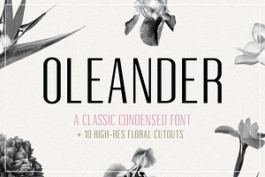 Oleander | Sans-Serif + 10 Cutouts