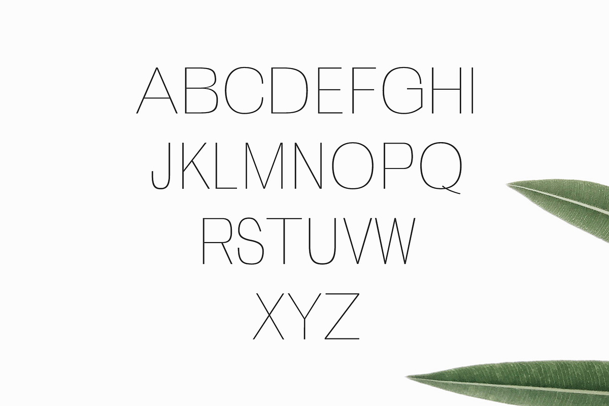 Zevida Sans Serif Font Family preview 2