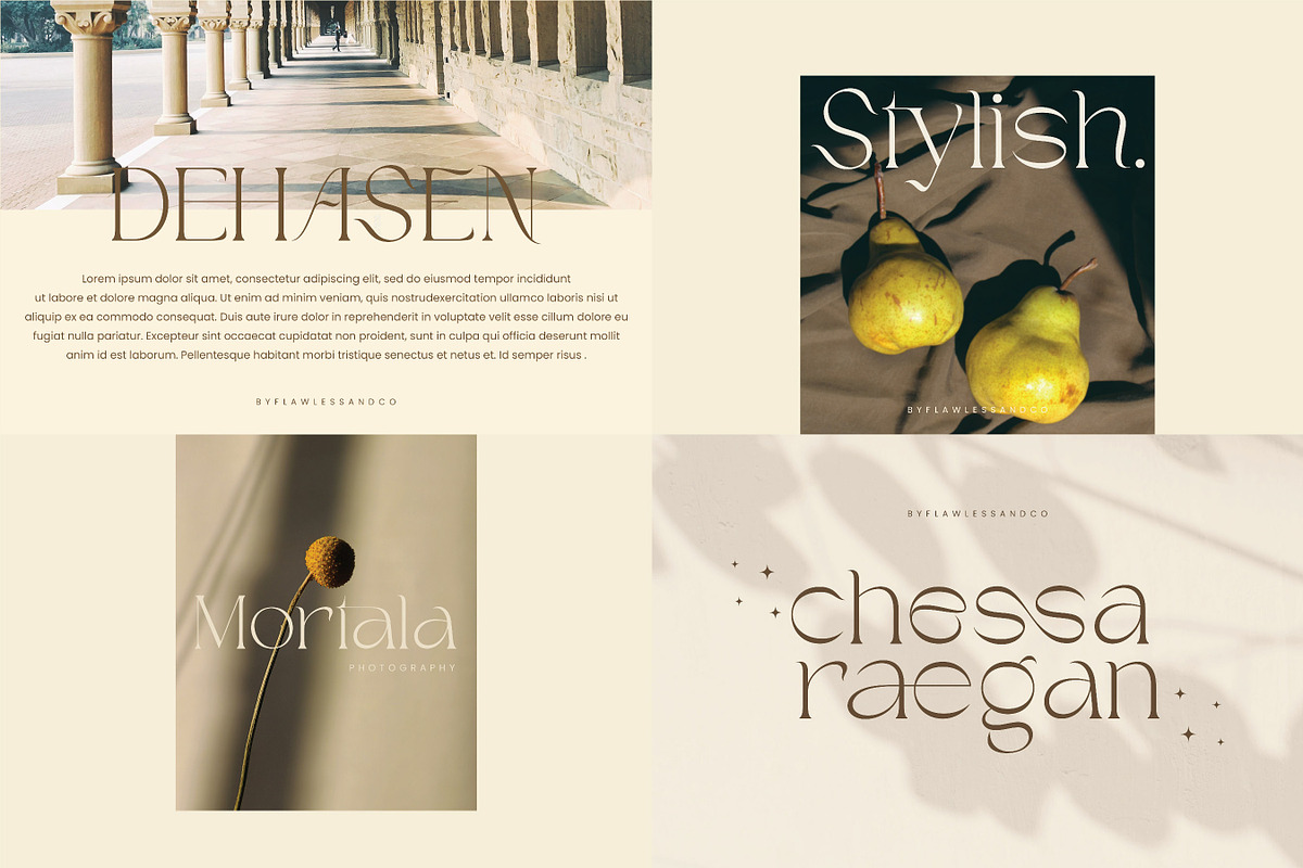 Modern Serif & Sans Serif Bundle, a Serif Font by Flawless And Co (Photo 9 of 12)